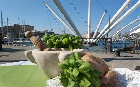 guided tour genoa|Guided tour of Genoa 2023 .
